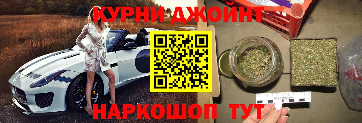 Каннабис конопля Узловая